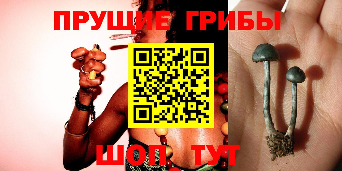 Псилоцибиновые грибы Magic Shrooms Карабулак