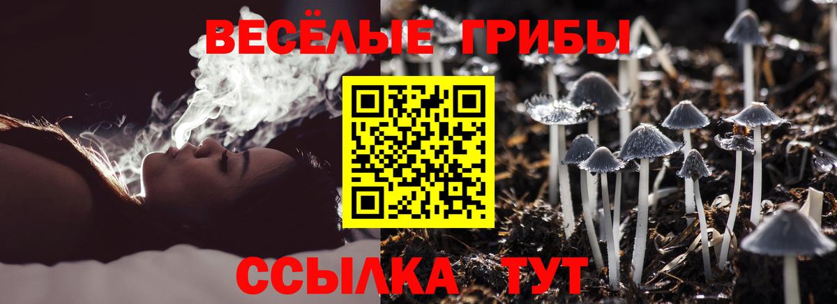 Карабулак  Псилоцибиновые грибы MAGIC MUSHROOMS  Вход с VPN 